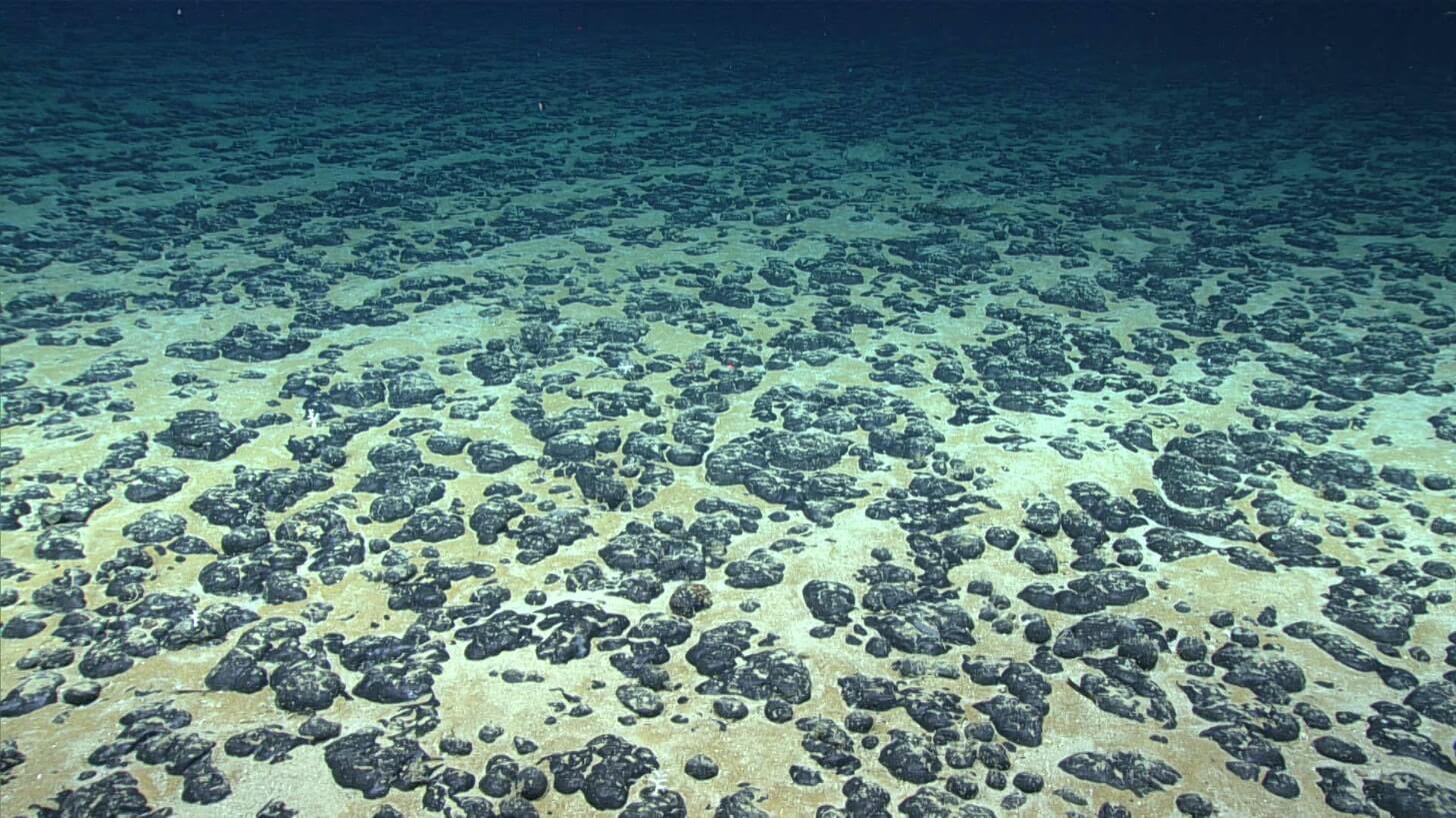 Black, potato-sized polymetallic nodules scattered on the seafloor in 2019 drew prospectors for their cobalt, nickel, copper, and manganese.